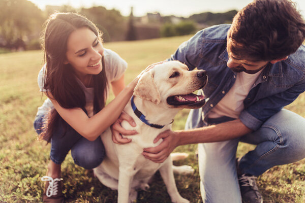 walking-dog-relaxation.jpg