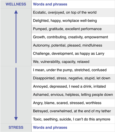 Examples of analysed words and phrases